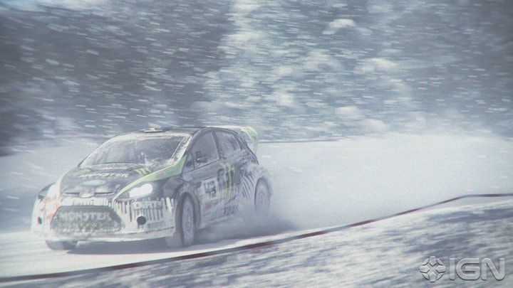 DIRT 3 in-game photo