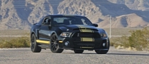 Shelby 50th Anniversary Edition Mustangs